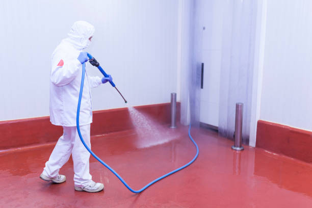 Best Oil Spill Cleanup  in Nocona, TX